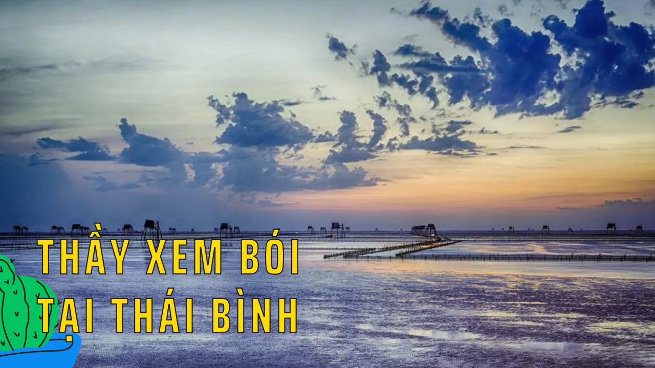 trải nghiệm và địa chỉ các thầy xem bói hya nhất thái bình